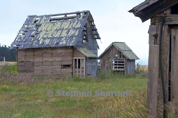 old sheds 3714 graphic